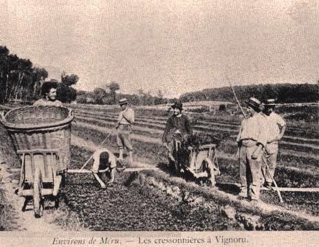 Amblainville oise cpa vignoru les cressonnieres