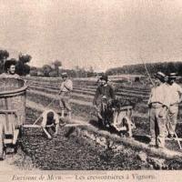 Amblainville oise cpa vignoru les cressonnieres