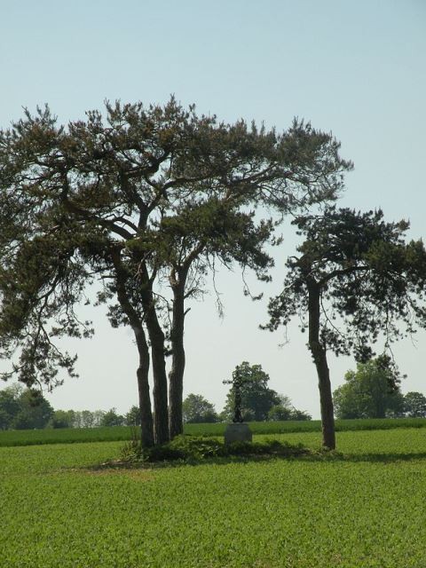 Amblainville oise fays aux anes la croix