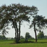 Amblainville oise fays aux anes la croix
