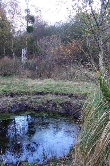 Amblainville oise marais du rabuais