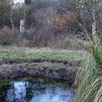 Amblainville oise marais du rabuais