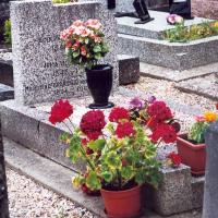 Cimetière d'Ancourteville, tombe Lemonnier