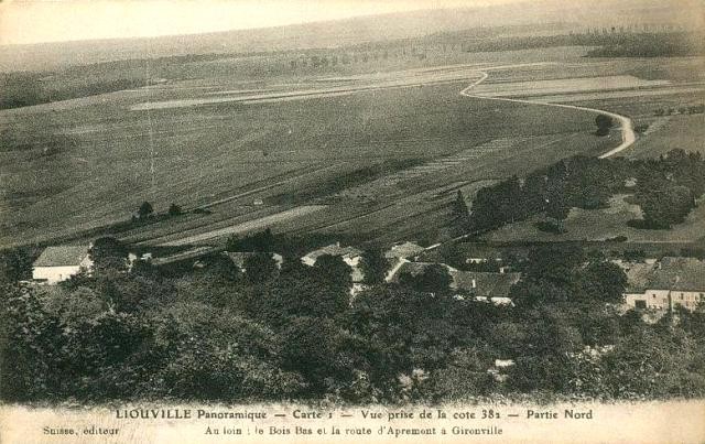 Apremont la foret 55 liouville vue generale cpa