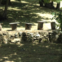Les ruches tronc