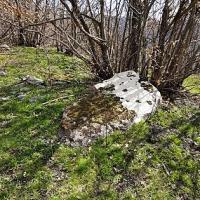 Le menhir de Troulhas