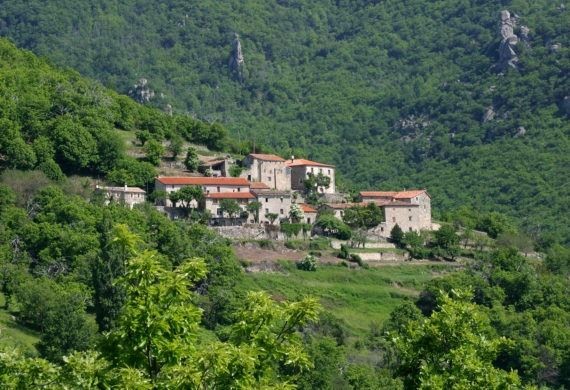 Vue générale