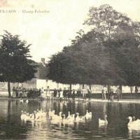 Athies-sous-Laon (Aisne) CPA champ palandier