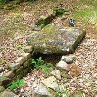 Audun-le-Tiche (Moselle) Une tombe de la nécropole