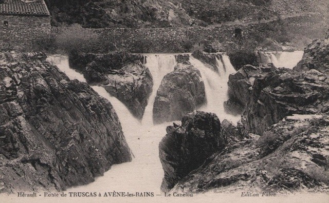 Truscas, cpa