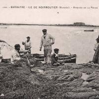 Barbâtre (Vendée) Arrivée de la pêche CPA