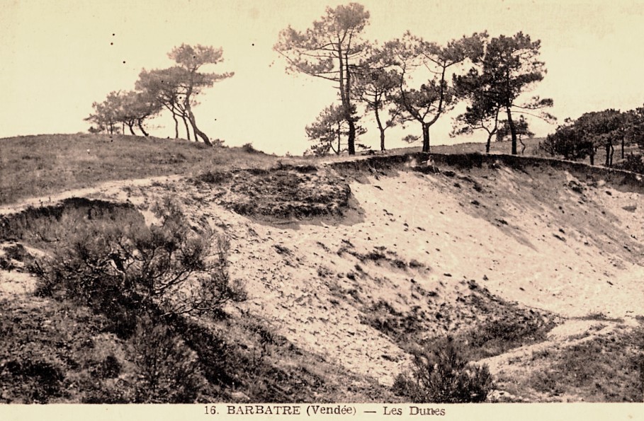 Barbâtre (Vendée) Les dunes CPA