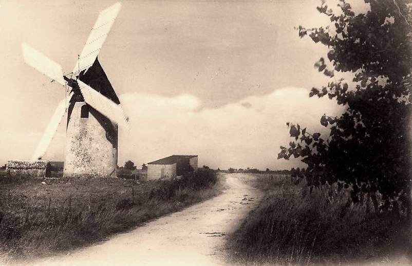 Barbâtre (Vendée) Moulin à vent du Gois