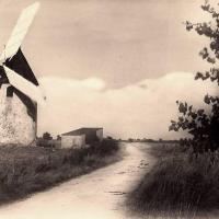 Barbâtre (Vendée) Moulin à vent du Gois