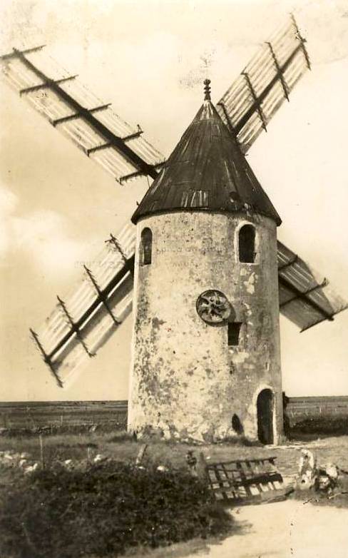 Barbâtre (Vendée) Moulin vieux de la Plaine CPA
