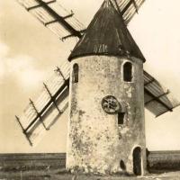Barbâtre (Vendée) Moulin vieux de la Plaine CPA