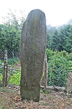 Barre (Tarn) Le Cantoul, statue-menhir