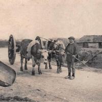Beauvoir-sur-Mer (Vendée) Bourrine près du Gois CPA