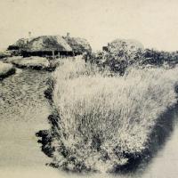 Beauvoir-sur-Mer (Vendée) Bourrine dans le marais CPA