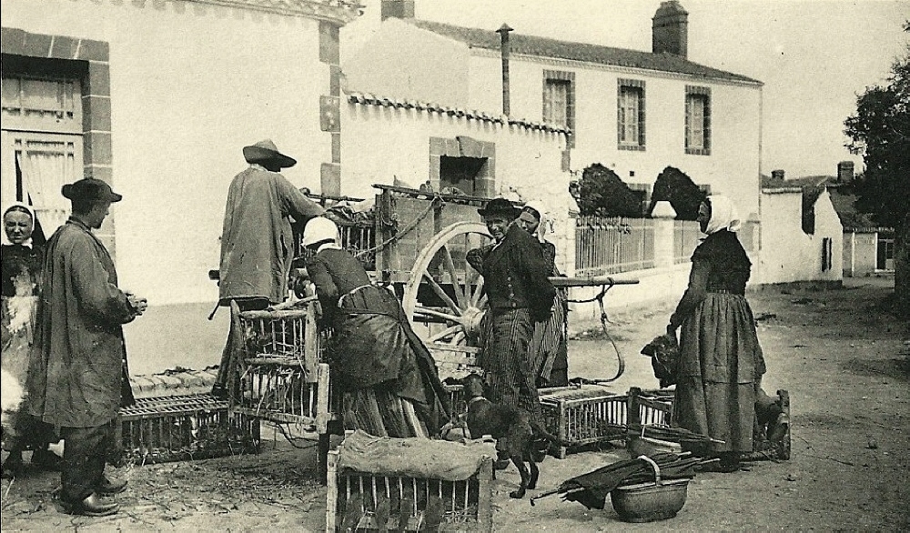 Beauvoir-sur-Mer (Vendée) Marchand de poulets CPA