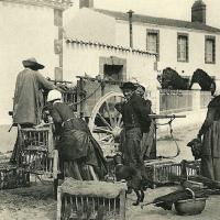 Beauvoir-sur-Mer (Vendée) Marchand de poulets CPA