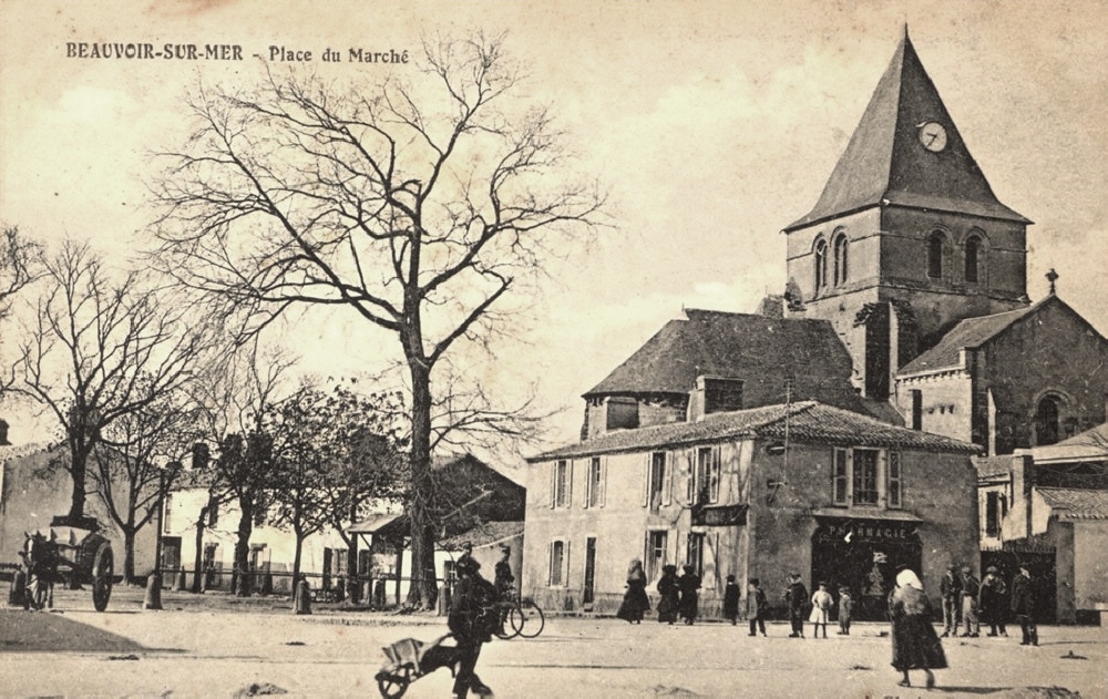 Beauvoir-sur-Mer (Vendée) Place du marché CPA