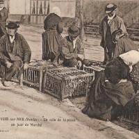 Beauvoir-sur-Mer (Vendée) Place du marché CPA