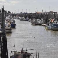 Beauvoir-sur-Mer (Vendée) Port chinois