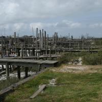 Beauvoir-sur-Mer (Vendée) Port chinois