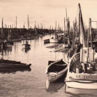 Beauvoir-sur-Mer (Vendée) Port du Bec CPA