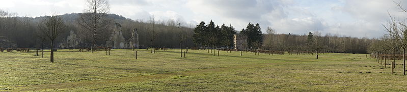Bouconville-Vauclair (Aisne) arboretum panorama