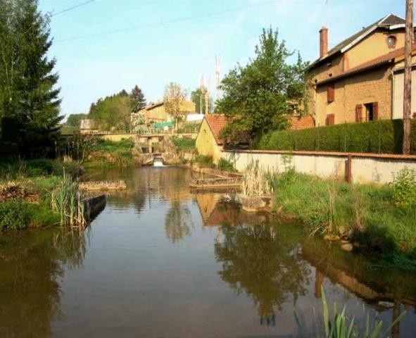 Brouennes meuse le ruisseau de baalon 