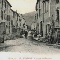 L'avenue de Camares (cpa)