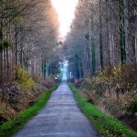 Carlepont oise la foret