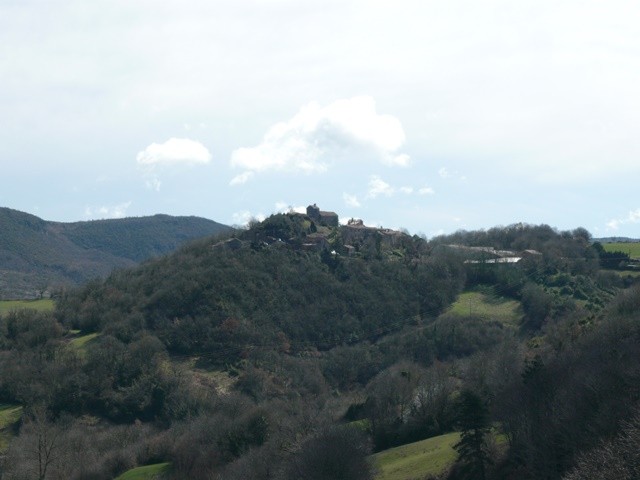 Rocozels