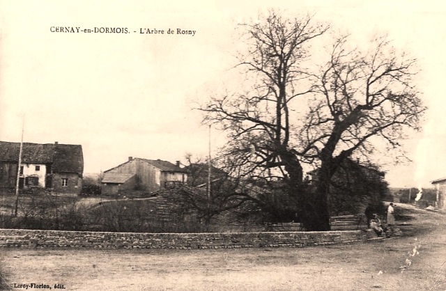 Cernay-en-Dormois (51) L'arbre de Rosny CPA
