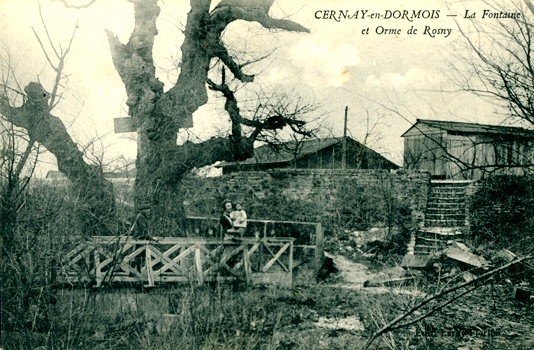 Cernay-en-Dormois (51) La fontaine et l'arbre de Rosny CPA