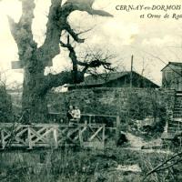 Cernay-en-Dormois (51) La fontaine et l'arbre de Rosny CPA