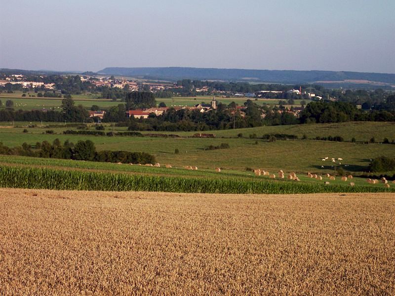 Cesse (Meuse) Vue générale