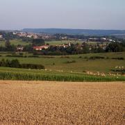 Cesse (Meuse) Vue générale