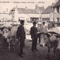 Les attelages de boeufs CPA