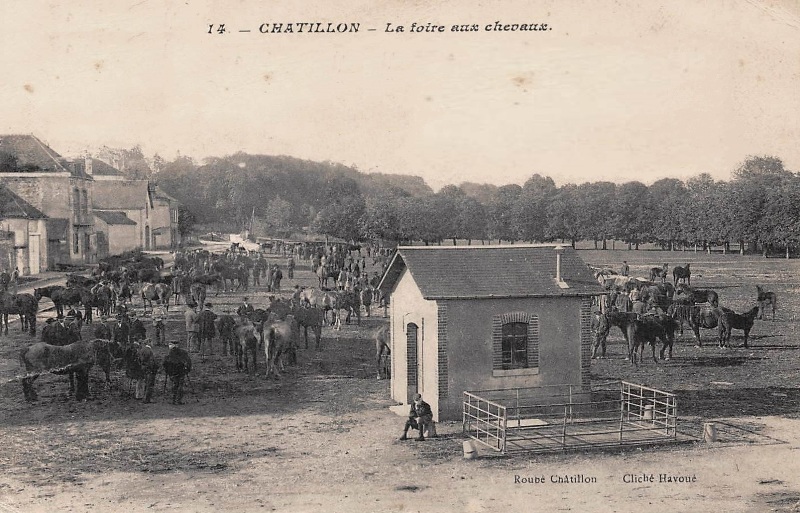 Châtillon-en-Bazois (Nièvre) La foire aux chevaux CPA