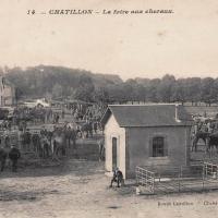 La foire aux chevaux CPA