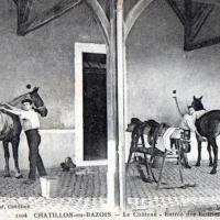 Le château, les écuries CPA