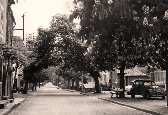 L' avenue de rodez (cpa)