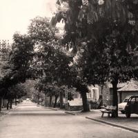 L' avenue de rodez (cpa)