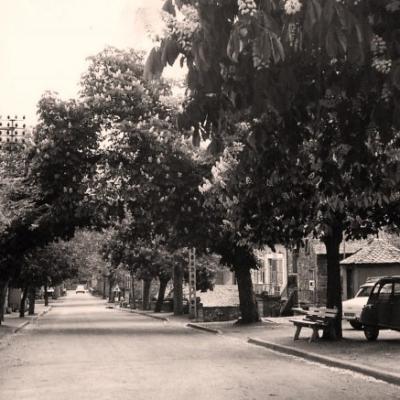 Clairvaux d'Aveyron (12)
