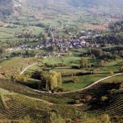 Vue générale