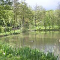 Clermont oise l etang de fay