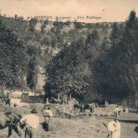 L' aire publique (cpa)